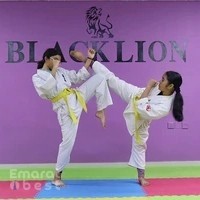 Black Lion Karate Yoga Yogasana Sports & Kick Boxing (Al Nahda Karate)