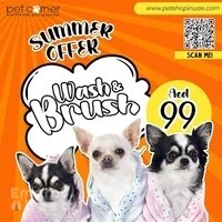 Fish Suppliers - Umm Suqueim Pet Shop