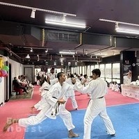 Karate Kid Martial Arts