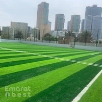 Al Majaz Falconsportsuae Football Pitch