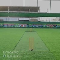 AL MADEENA SPORTS ACADEMY LLC