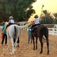 Royal Desert Stables