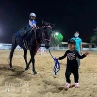 Royal Desert Stables