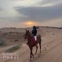 可尔马场 .kikos stable