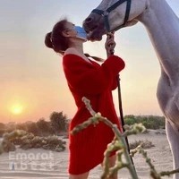 可尔马场 .kikos stable