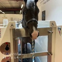 Equinest Fitness and Rehabilitation Center