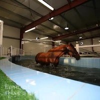 Equinest Fitness and Rehabilitation Center