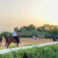 Al Walid stables - اسطبل الوليد