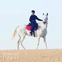 أسطبلات الذيب للقدره wolf stable