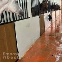 اسطبلات و نادي بن حيدر للفروسية