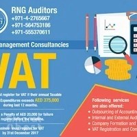 RNG Auditors LLC