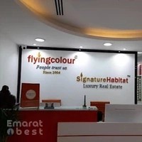 Flying Colour Business Setup Services LLC