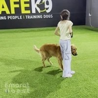 SAFE K9 | Dog Boarding & Training