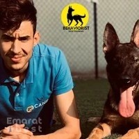 Dog Trainer Behaviourist