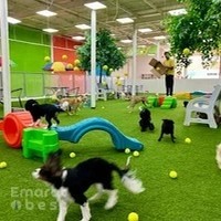 Fetch Dubai Daycare And Boarding