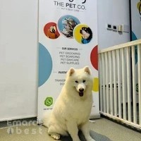 The Pet Co