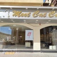 Meet Cat Cafe