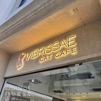 Cat Cafe Vibrissae - Al Safa Park Complex