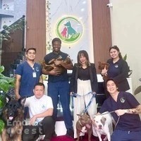 Fancy & Furry Pets Care in Dubai | Cat & Dog Boarding Hotel - Grooming - Daycare - Training