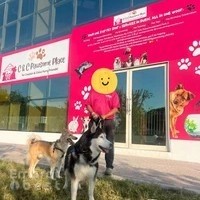 C & C Pawsome Place: Pet Shop, Grooming, Daycare/Boarding, Training, Party, Taxi, Relocation & Veterinary Services