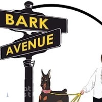 Bark Avenue UAE