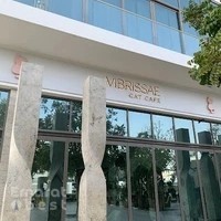 Cat Cafe Vibrissae - Mirdif 35