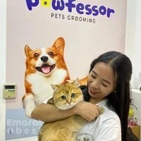 Pawfessor Pets Grooming