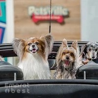 Petsville Palm Jumeirah