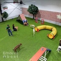 Petsville | Luxury Dog Staycations | Active Daycare | Grooming