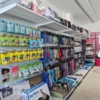 Petjestic Puppies Dubai