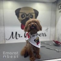 Mr Clippers Pet Grooming & Daycare