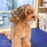 Tail Waggin' Pet Spa Dubai Hills