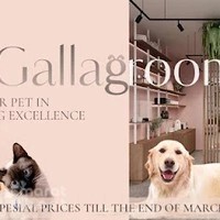 Gallagroom pets grooming & spa