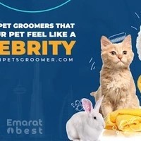 Dubai Pets Groomer