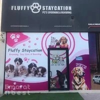 Fluffy Staycation Pets Grooming