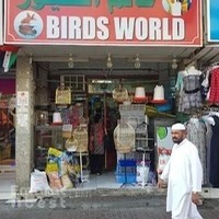 BIRDS WORLD