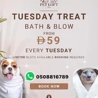 Pet Loft Dubai
