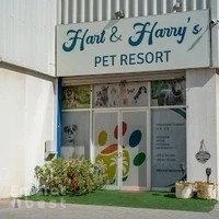 Hart & Harry's Pet Resort