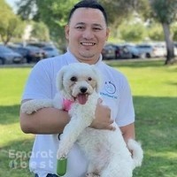 D'PetSquad UAE - Pet Relocation