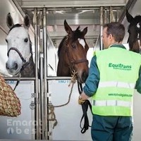 Equitrans Logistics LLC - Global Horse Transport - Air & Road