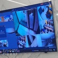 الليث لتجارة الطيور Al LAITH birds trading