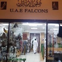 صقورالامارات UAE Falcons