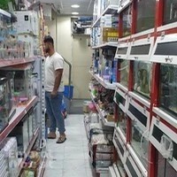 King of Bird - Al Bada'a