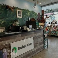 Dubai Birds - Parrots & Exotic Birds