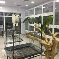 NAD ALSHIBA BIREDS BREEDING CENTER