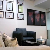 Ace Luxury Immigration Solutions