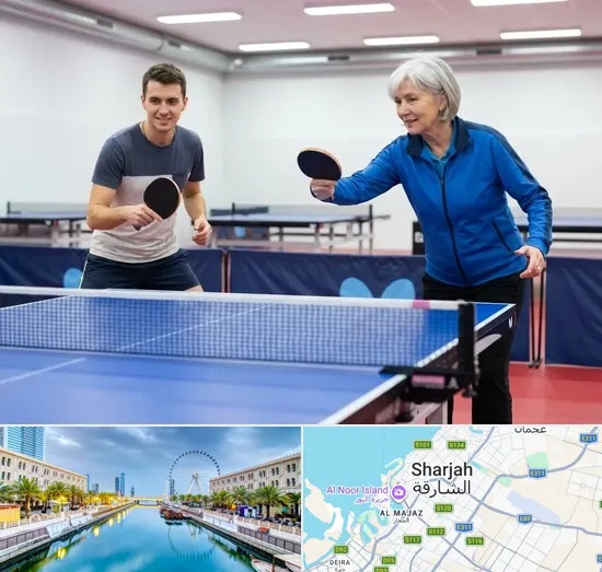 Table Tennis Coaching in Sharjah