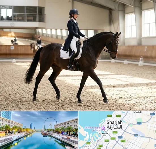 Equestrian in Sharjah