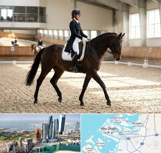 Equestrian in Abu Dhabi