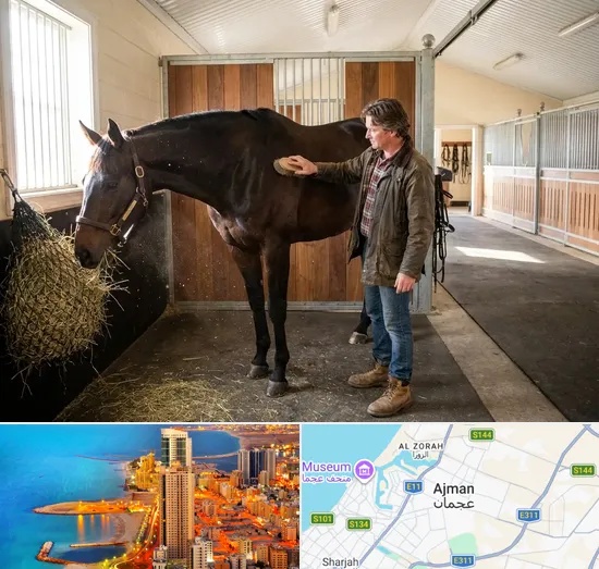 Horse Boarding in Ajman